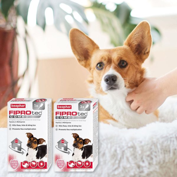 Beaphar - Fiprotec Combo Small Dog - 3 Treatments Online now