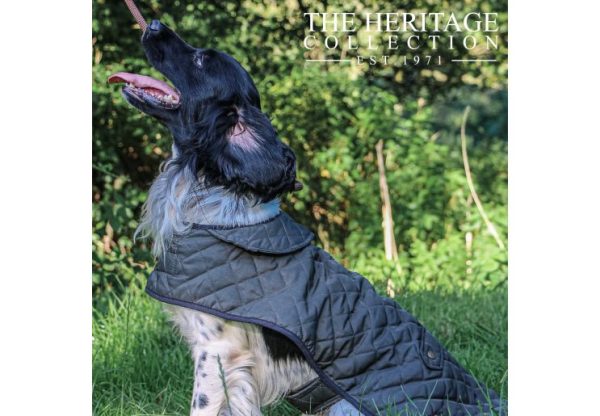 Ancol - Heritage Quilted Blanket Coat - 30cm Hot on Sale