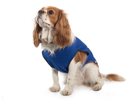 Ancol - Dog Cooling Coat - Small (30cm) Fashion