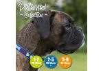 Ancol - Reflective Bone Collar - Blue - Large (45-70cm) Discount