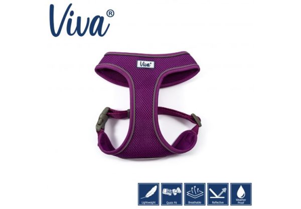 Ancol - Viva Comfort Mesh Harness - Purple - Small (34-45cm) Fashion