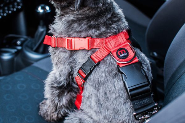 Mikki - Car Harness - Small Supply