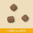 James Wellbeloved - Lamb & Rice - Adult Small Breed Dog - 1.5kg Online