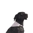 Ancol - Small Bite Bandana - Small Medium (10cm) Cheap