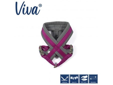 Ancol - Viva Nylon Padded Harness - Purple - Small (36-42cm) Cheap