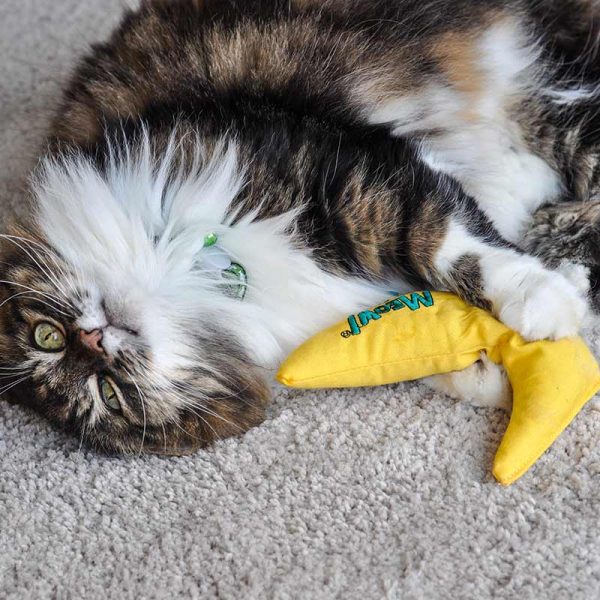 BAM - Banana Catnip Toy For Discount