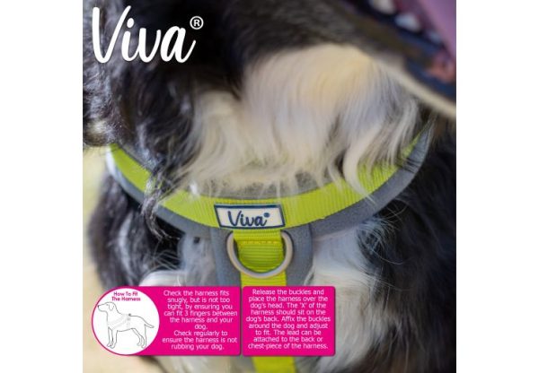 Ancol - Viva Nylon Padded Harness - Pink - Large (52-71cm) For Cheap