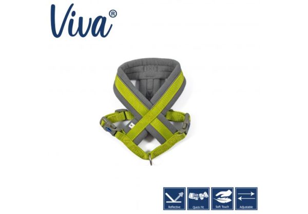 Ancol - Viva Nylon Padded Harness - Lime - Medium (41-53cm) Online Hot Sale