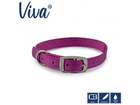 Ancol - Viva Nylon Buckle Collar - Purple - Size 2 (26-31cm) For Cheap