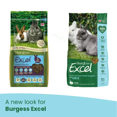 Burgess - Excel Junior and Dwarf Nuggets with Mint Rabbit Food - 3kg Hot on Sale