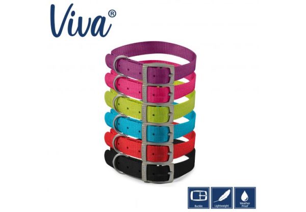 Ancol - Viva Nylon Buckle Collar - Blue - Size 3 (28-36cm) For Cheap