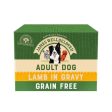 James Wellbeloved - Adult Dog Grain Free Wet Food - Lamb - 90g Pouch For Discount