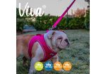 Ancol - Viva Nylon Padded Snap Lead - Pink - 180cm x 25mm (Max 75Kg) Online Hot Sale