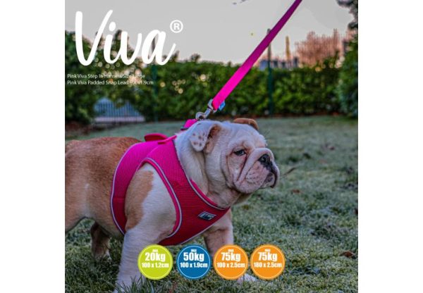 Ancol - Viva Nylon Padded Snap Lead - Pink - 180cm x 25mm (Max 75Kg) Online Hot Sale