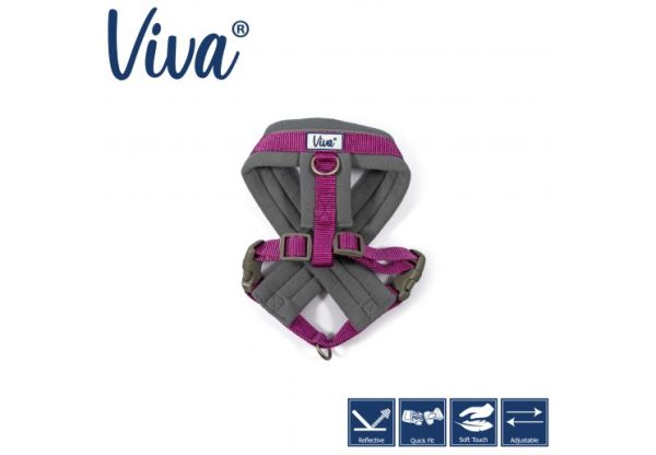 Ancol - Viva Nylon Padded Harness - Purple - Large (52-71cm) Cheap