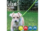 Ancol - Viva Nylon Reflective Rope Slip Lead - Blue - 150cm x 8mm (Max 20kg) Online