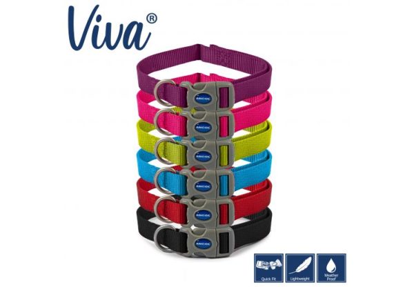 Ancol - Viva Nylon Adjustable Collar - Purple - Large (45-70cm) Cheap