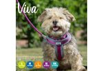 Ancol - Viva Nylon Padded Harness - Purple - Medium (41-53cm) Hot on Sale