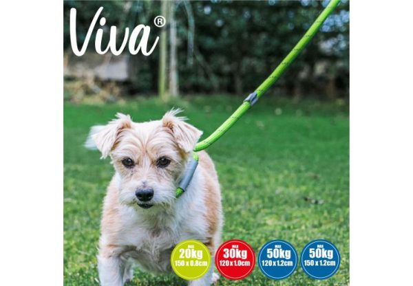 Ancol - Viva Nylon Reflective Rope Slip Lead - Blue - 120cm x 12mm (Max50kg) Fashion