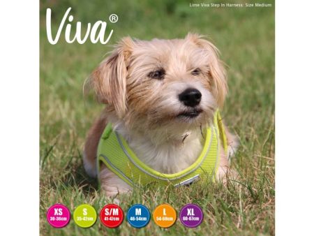 Ancol - Viva Step-in Harness - Lime - Small Medium For Sale