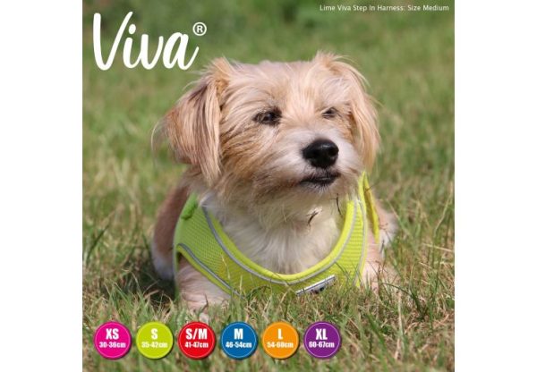 Ancol - Viva Step-in Harness - Lime - Small Medium For Sale