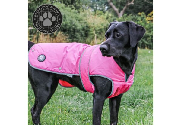 Ancol - Stormguard Dog Coat - Pink - X Large For Sale