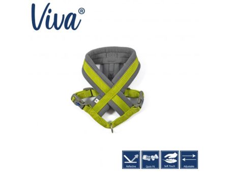 Ancol - Viva Nylon Padded Harness - Lime - Small (36-42cm) Online now