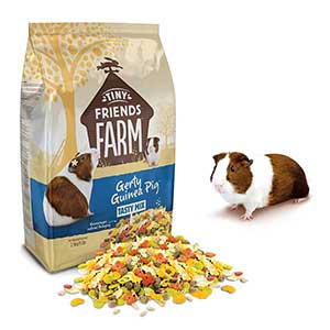 Supreme - Gerty Guinea Pig - 850g Online now