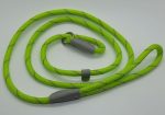 Ancol - Viva Nylon Reflective Rope Slip Lead - Lime - 150cm x 8mm (Max 20kg) Cheap