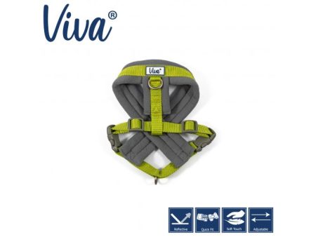 Ancol - Viva Nylon Padded Harness - Lime - Medium (41-53cm) Online Hot Sale