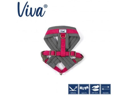 Ancol - Viva Nylon Padded Harness - Pink - Small (36-42cm) Online Hot Sale