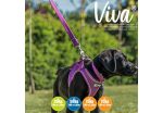 Ancol - Viva Nylon Padded Snap Lead - Purple - 100cm x 25mm (Max 75kg) Discount