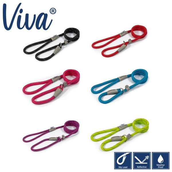 Ancol - Viva Nylon Reflective Rope Slip Lead - Blue - 120cm x 10mm (max 30kg) For Cheap