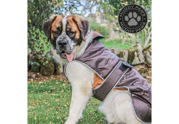 Ancol - Stormguard Dog Coat - Chocolate Brown - S M Online