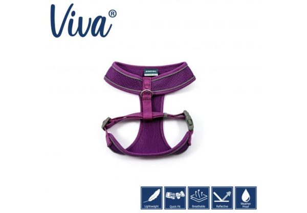 Ancol - Viva Comfort Mesh Harness - Purple - Small (34-45cm) Fashion