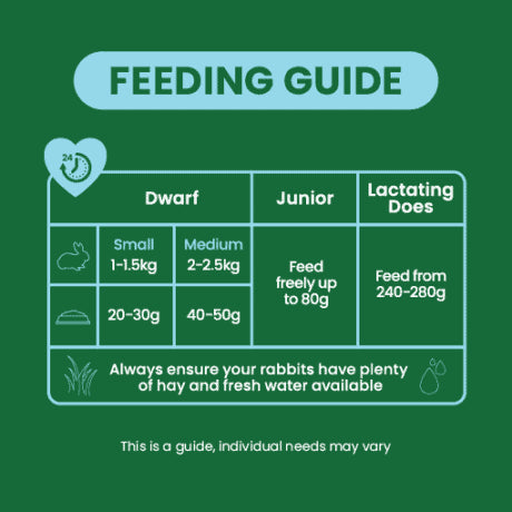 Burgess - Excel Junior and Dwarf Nuggets with Mint Rabbit Food - 3kg Hot on Sale