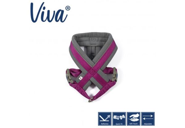 Ancol - Viva Nylon Padded Harness - Purple - Large (52-71cm) Cheap