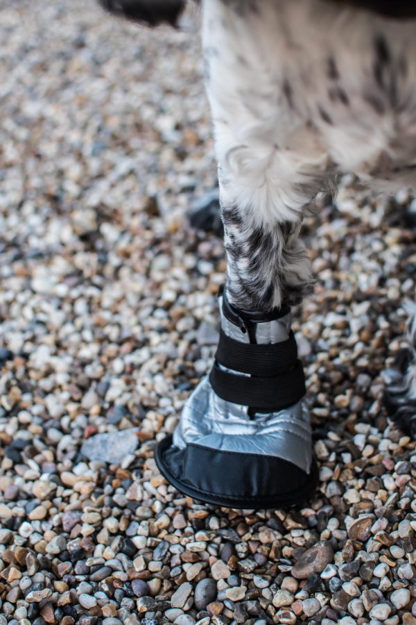 Mikki - Dog Boot - Size 1 For Discount