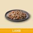 James Wellbeloved - Adult Dog Grain Free Wet Food - Lamb - 90g Pouch For Discount