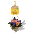 Rosewood - Boredom Breaker - Floral Hanging Basket For Sale