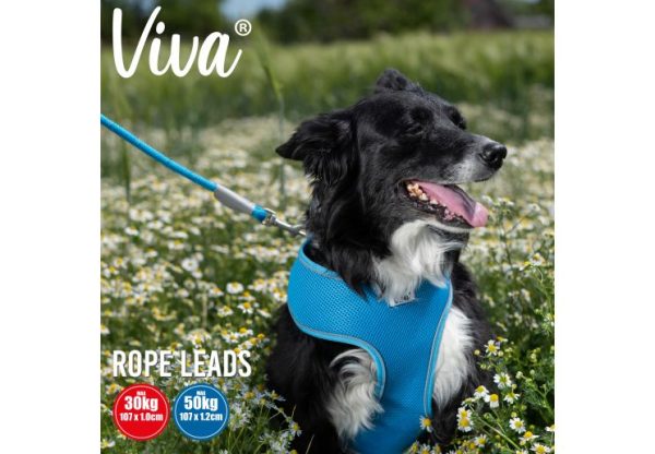 Ancol - Viva Nylon Reflective Rope Snap Lead - Blue - 107cm x 10mm (Max 30kg) on Sale