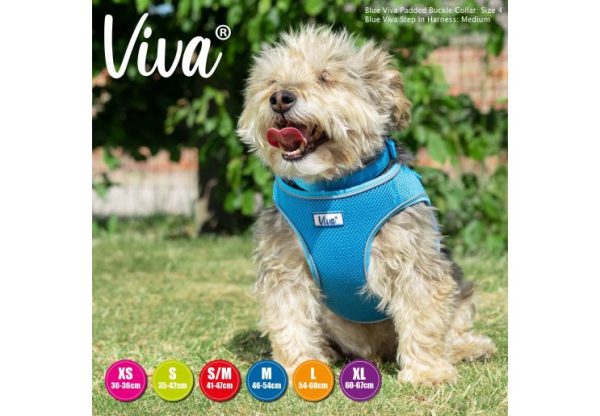 Ancol - Viva Step-in Harness - Blue - Large Fashion