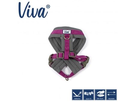 Ancol - Viva Nylon Padded Harness - Purple - Medium (41-53cm) Hot on Sale