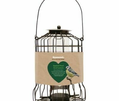 Rosewood - Feeding Time Squirrel Proof Seed Lantern Sale