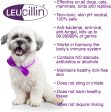 Leucillin - Antiseptic Skin Care Spray - 250ml Online