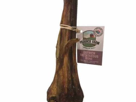 Anto - Ostrich Metatarsus Bone on Sale