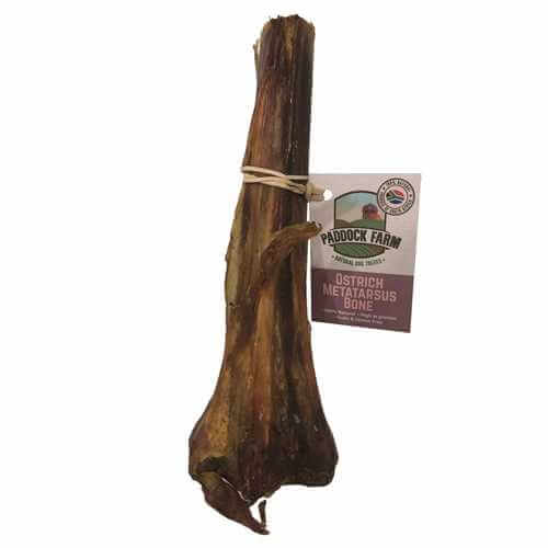 Anto - Ostrich Metatarsus Bone on Sale