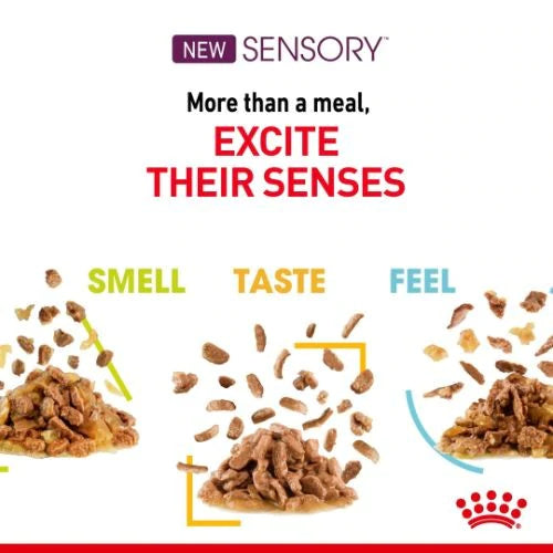 Royal Canin - Sensory Cat Food - Variety Multipack (in gravy) Online Sale