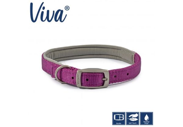 Ancol - Viva Nylon Padded Buckle Collar - Purple - Size 4 (35-43cm) For Discount