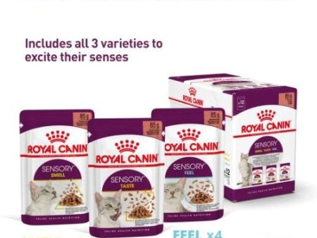 Royal Canin - Sensory Cat Food - Variety Multipack (in gravy) Online Sale